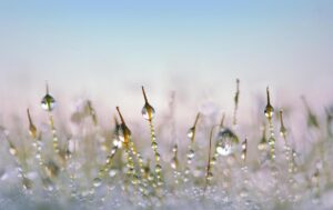 how to defrost meat tbtechchef
