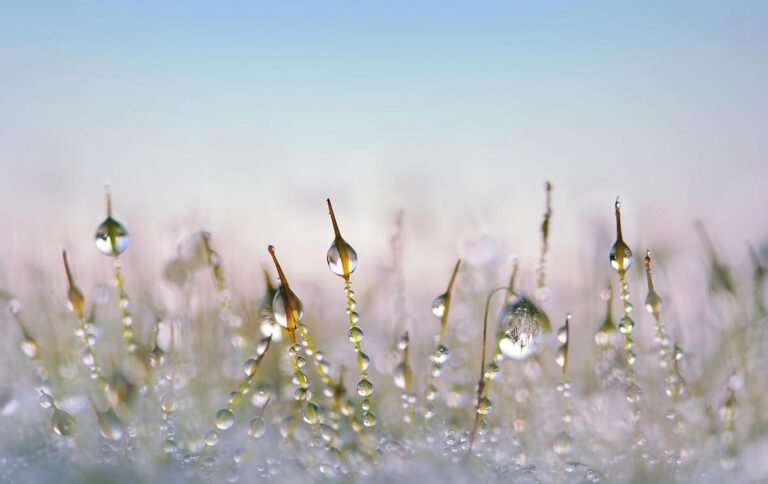 how to defrost meat tbtechchef